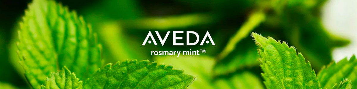 Rosemary Mint  - aromathérapie pour le corps